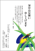 暑中見舞いサムネイル
